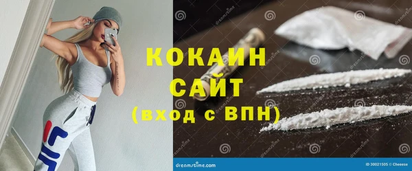 твердый Няндома