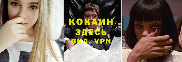 твердый Няндома