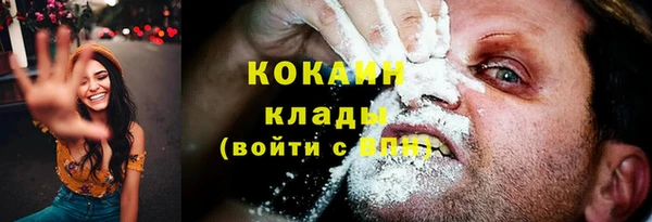 тгк Абинск