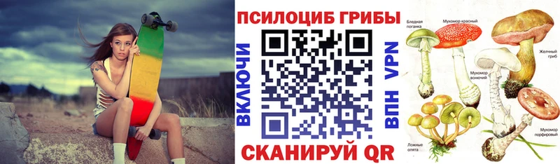 продажа наркотиков  Ак-Довурак  нарко площадка телеграм  Псилоцибиновые грибы GOLDEN TEACHER 